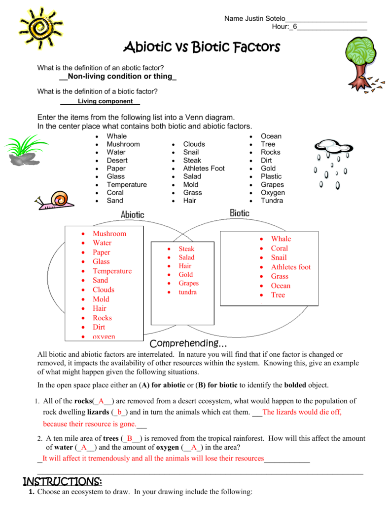 31 Components Of An Ecosystem Worksheet Answers Support Worksheet