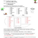 31 Components Of An Ecosystem Worksheet Answers Support Worksheet