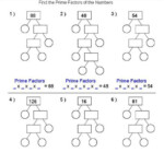 6th Grade Factor Trees Worksheets Askworksheet