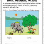 Abiotic And Biotic Factors Worksheet