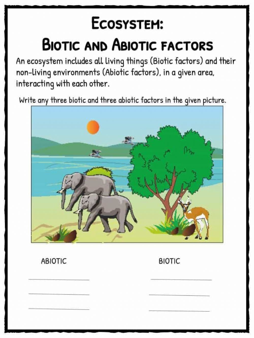 Abiotic And Biotic Factors Worksheet