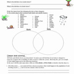 Abiotic Vs biotic Factors Worksheet Answers Lovely Biotic Vs Abiotic