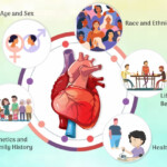 Assessing The Risk Factors Of Cardiovascular Diseases