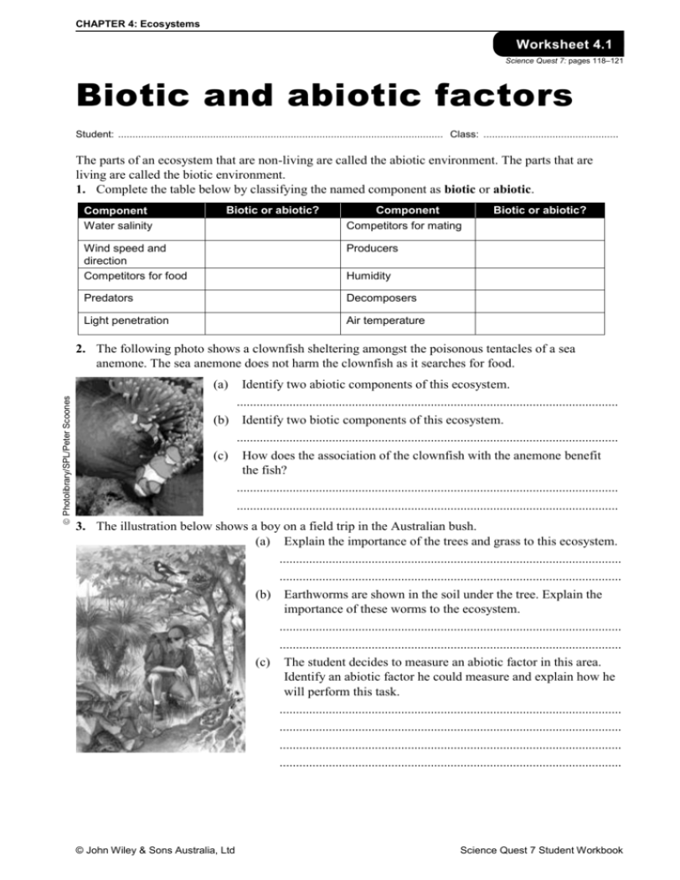 Biotic And Abiotic Components Worksheet Creativeried