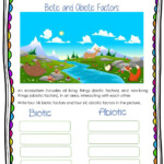 Biotic And Abiotic Factors Worksheet Abiotic Biotic Ecosystems