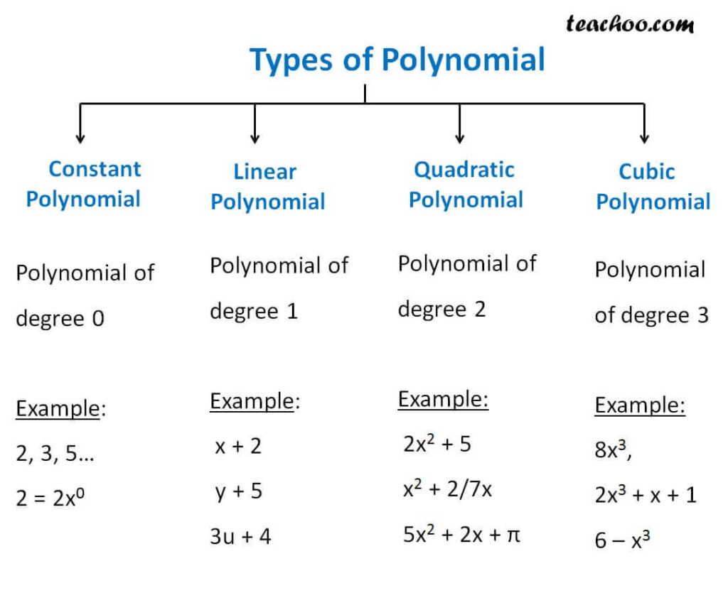 Differnet Types Of Polynomial Constant Linear Quadratic Teachoo