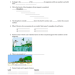 Ecology Review Worksheet 1 Db excel