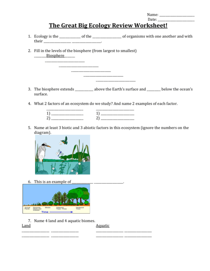 Ecology Review Worksheet 1 Db excel