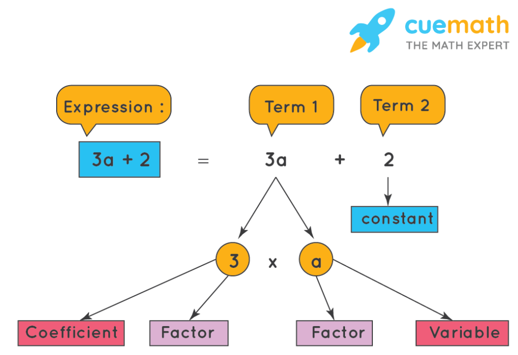 Expression Term Factor Coefficient Definition And Examples Cuemath