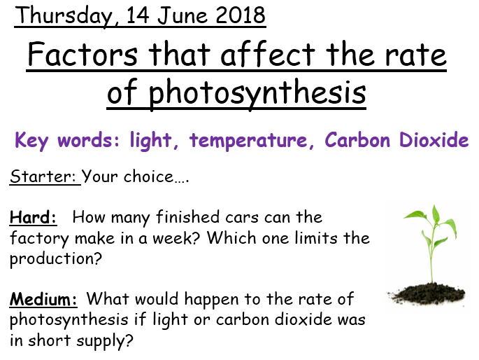  Factors Affecting Photosynthesis Worksheet Free Download Qstion co