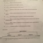 Factors Affecting Solutions Worksheet Answers Free Download Goodimg co