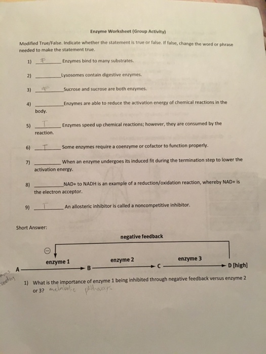 Factors Affecting Solutions Worksheet Answers Free Download Goodimg co