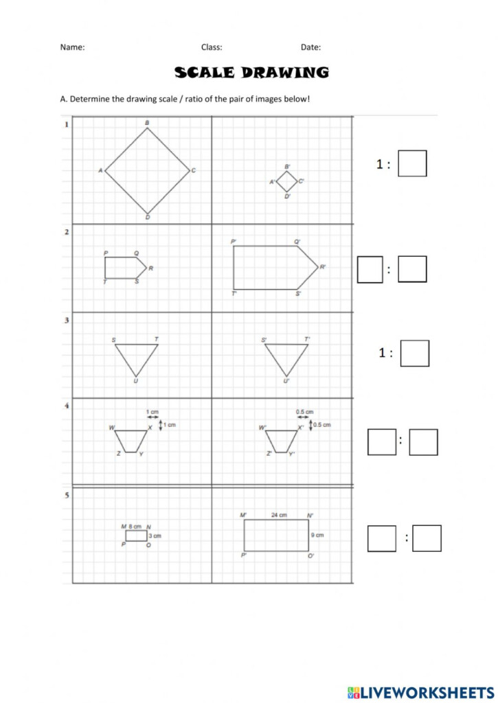 Finding Scale Factor Worksheet