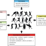 Fyziologie Sportovn ch Discipl n