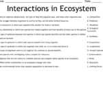 Interactions In An Ecosystem Worksheet