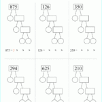 More Complex Numbers To Expand The Students Range Of Thinking Prime