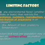 PPT Limiting Factors PowerPoint Presentation Free Download ID 6308880