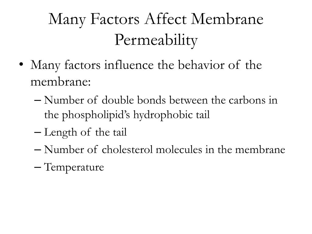 PPT The Structure Of The Cell Membrane PowerPoint Presentation Free 