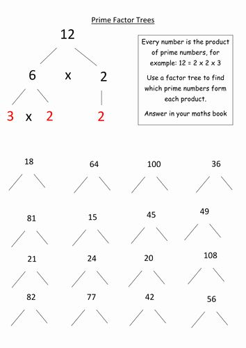 Prime Factorization Tree Worksheet Awesome Factoring Worksheets 
