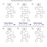 Prime Factorization Worksheets 5th Grade With Images Prime