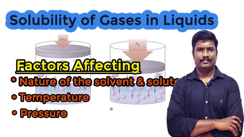 Solubility Of Gases In Liquids What Are The Factors Affecting 