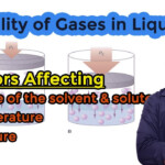 Solubility Of Gases In Liquids What Are The Factors Affecting