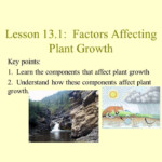 Unit 2 Lesson 13 1 Factors Affecting Plant Growth YouTube