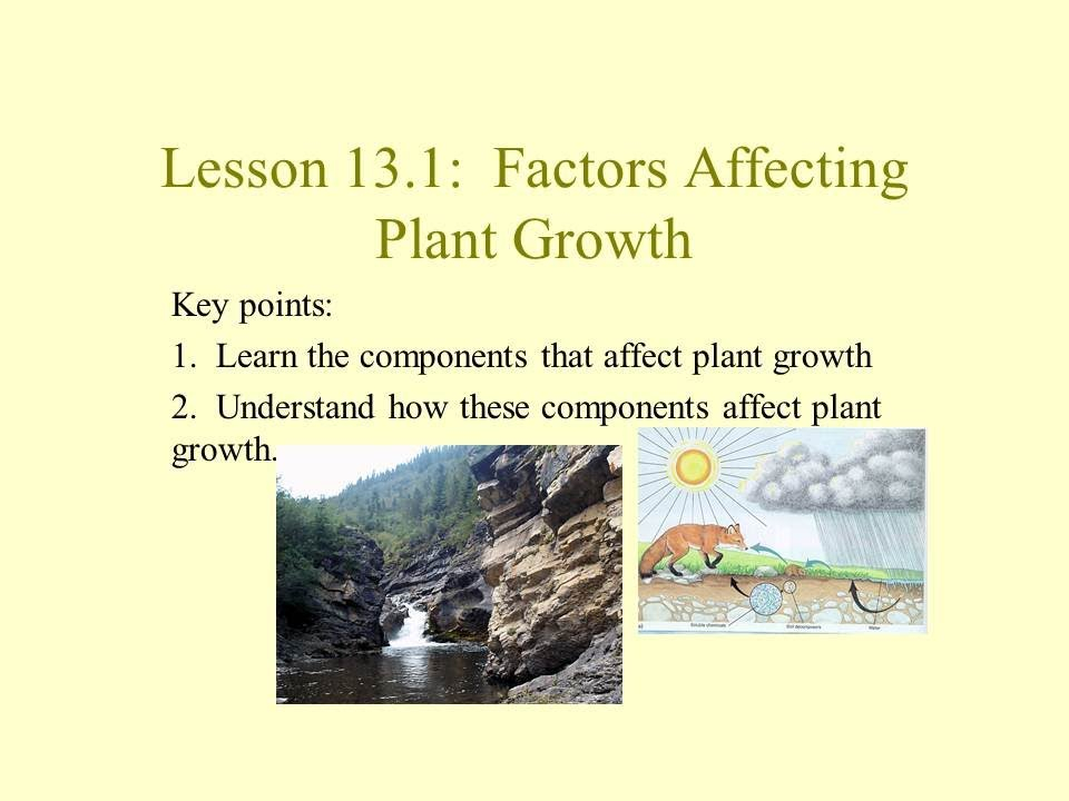 Unit 2 Lesson 13 1 Factors Affecting Plant Growth YouTube