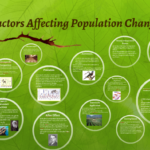 14 3 Factors Affecting Population Change By Mandeep Dhami