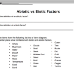 Abiotic Vs biotic Factors Worksheet Answers