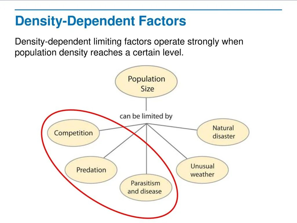 Effect Of Density Of Populations Study Guide Inspirit