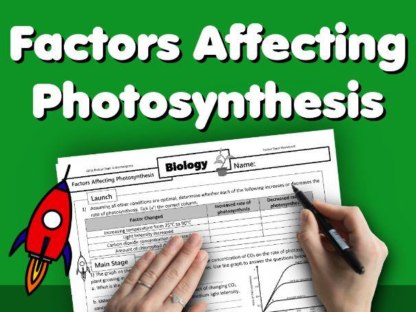 Factors Affecting Photosynthesis Home Learning Worksheet GCSE 