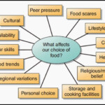 How Do Your Food Choices Impact On The Environment