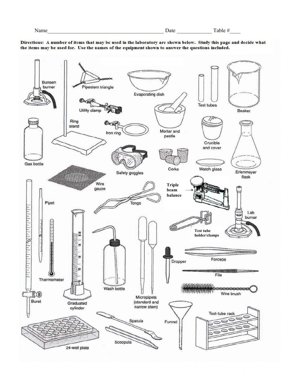 Lab Equipment Worksheet Worksheet