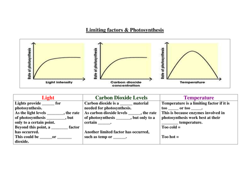 Limiting Factors Worksheet Answers Limiting Factors Of Photosynthesis 