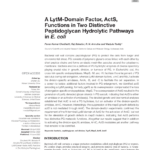PDF A LytM Domain Factor ActS Functions In Two Distinctive