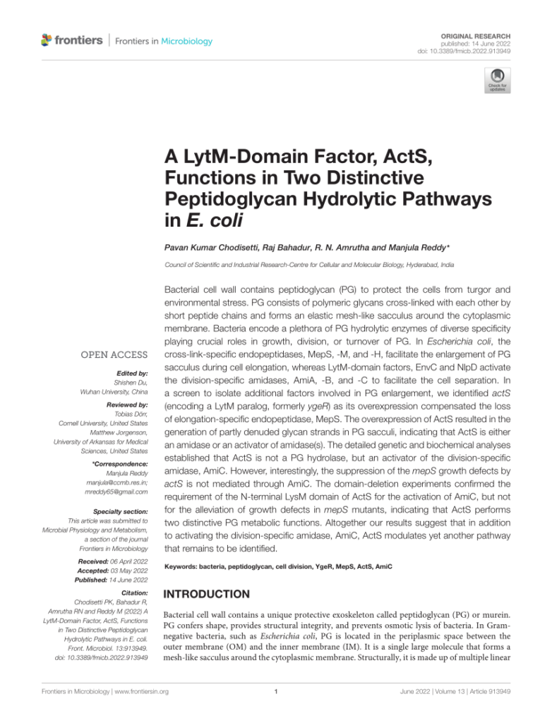  PDF A LytM Domain Factor ActS Functions In Two Distinctive 