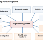 POPULATION DYNAMICS Achievers IAS Classes