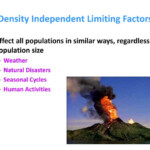 PPT Community Ecology PowerPoint Presentation ID 2196167