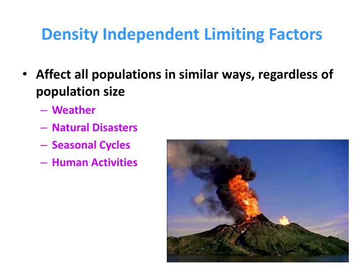 PPT Community Ecology PowerPoint Presentation ID 2196167