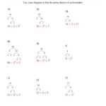 Prime Factor Trees Range 4 To 48 All