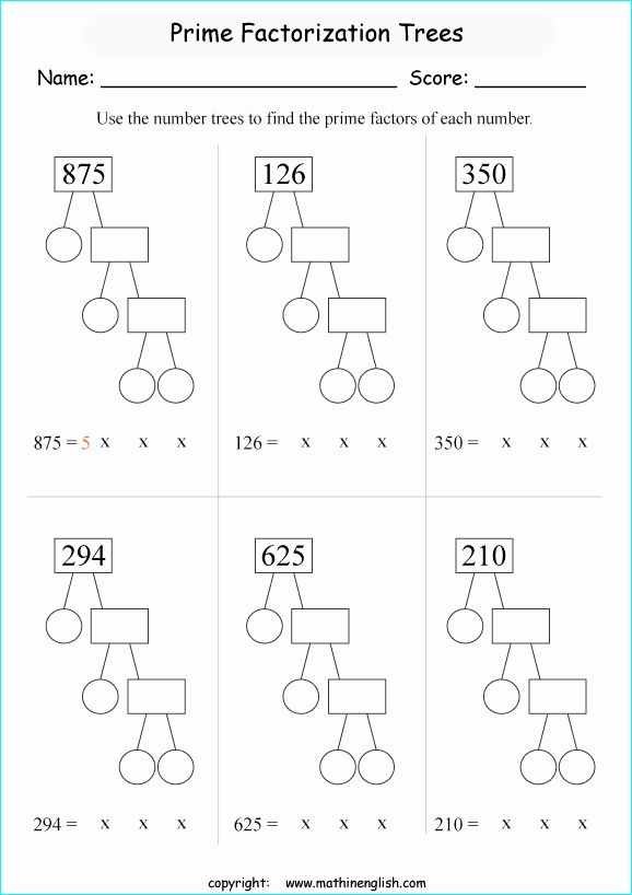 Prime Factorization Tree Worksheet Luxury Grade 5 Math Worksheet Prime 