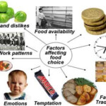 Top 18 3 Environmental Factors That Influence Your Food Choices En Iyi 2022