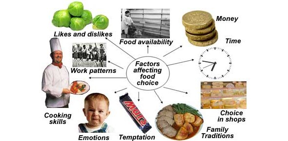 Top 18 3 Environmental Factors That Influence Your Food Choices En Iyi 2022