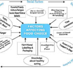 Worker s Perception Of Worksite Factors Influencing Obesity Factors