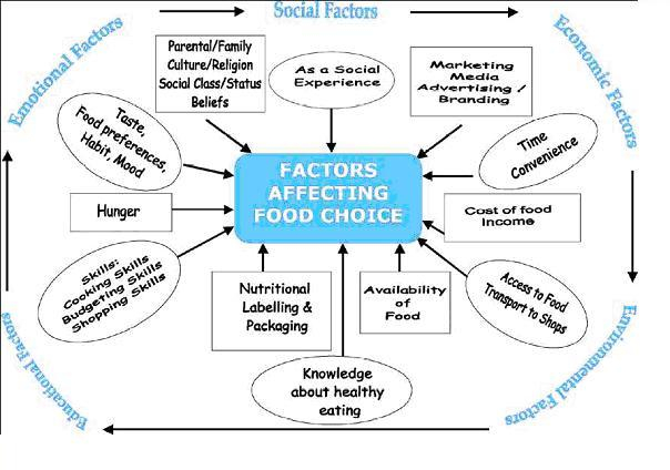 Worker s Perception Of Worksite Factors Influencing Obesity Factors 