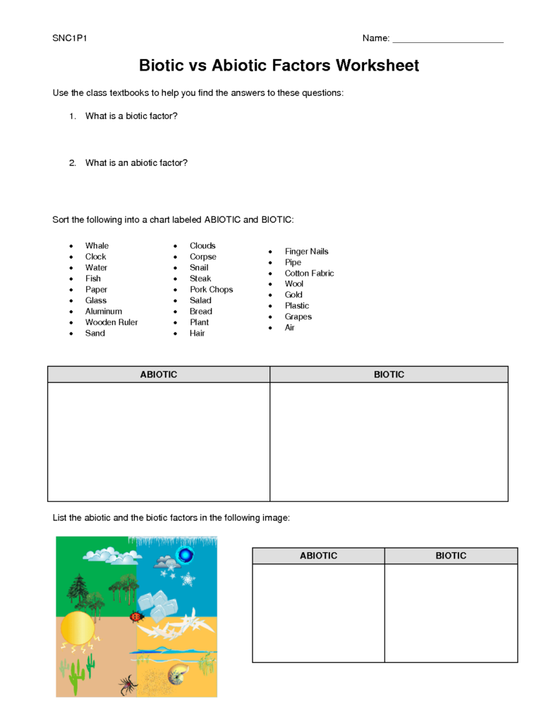 Abiotic Vs Biotic Factors Worksheet Answers Printable Word Searches