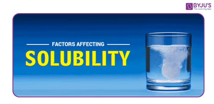 Factors Affecting Solubility Worksheet