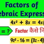 Factors Of Algebraic Expression Factors