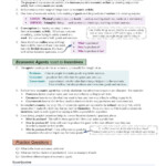 Scarcity Factors Of Production Worksheet Free Download Goodimg co